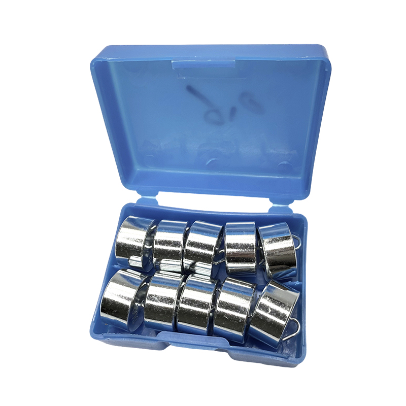 مجموعه وزن قلاب‌دار آموزشی 50 گرم در 10 عدد PCS/آزمایشگاه و کیت آموزشی ابزار آزمایشگاه فیزیک مدرسه